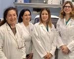 Sviluppo di nuove terapie per ridurre il rischio di recidiva in pazienti con carcinoma alla mammella - Team di ricerca UniPa partecipa allo studio pubblicato su Nature Communications
